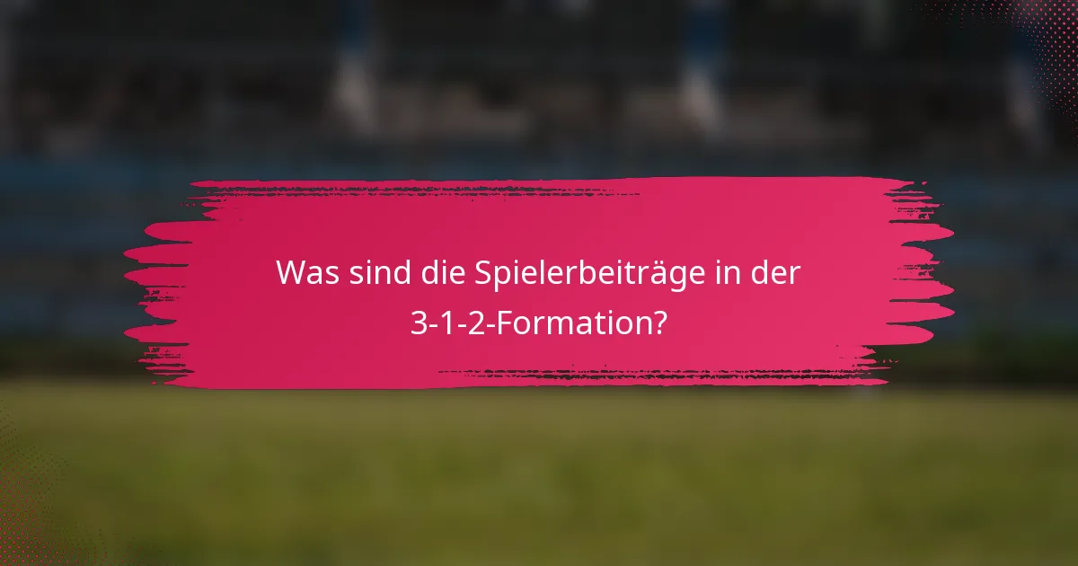 Was sind die Spielerbeiträge in der 3-1-2-Formation?