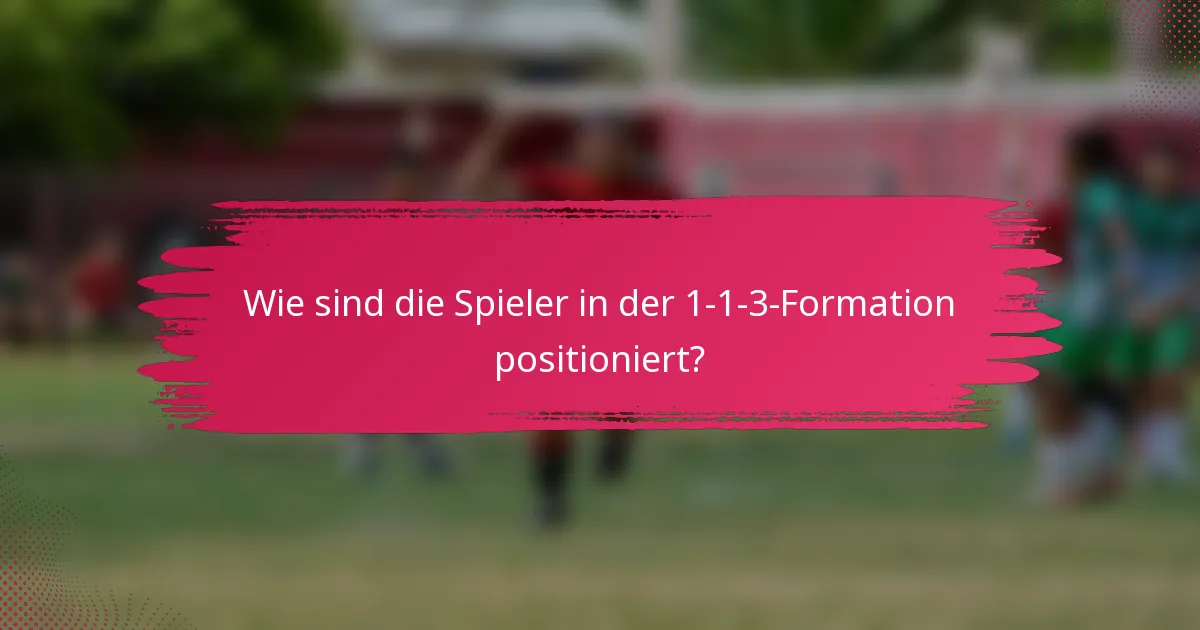 Wie sind die Spieler in der 1-1-3-Formation positioniert?